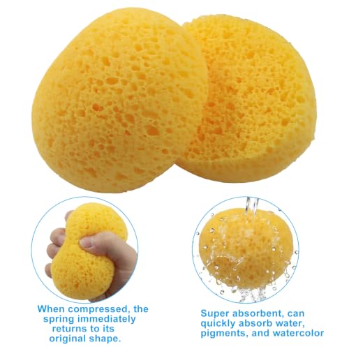 2 Pcs Natural Sponge for Painting, Yellow | Orange Peel Texture, Drywall Repair, Acrylic, Watercolor, Pottery, Creates Natural Wall & Art Textures - color: Yellow