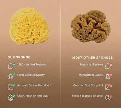 Sea Sponge for Bathing 5 inch-Softly Rough but Not Skin Irritating – Yellow, Natural Bath Sponge-Renewable Resource – Natural Sponge for Body and Shower-Lathers & Washes Really Well