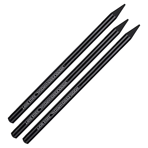 Professional Pure Carbon Sketch Pencil Set Hard Medium Soft Woodless Charcoal Drawing Pens Painting Supplies for Artists Students Teens Beginners