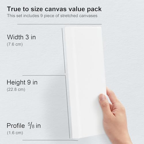 PHOENIX Skinny Stretched Canvas for Painting 3x9 Inch/9 Value Pack, 8 Oz Triple Primed, 5/8 Inch Profile, 100% Cotton White Blank Canvas, Rectangular Framed Canvas for Oil Acrylic & Pouring Art - size: 3"x9", style: Studio Set (8 Oz.)