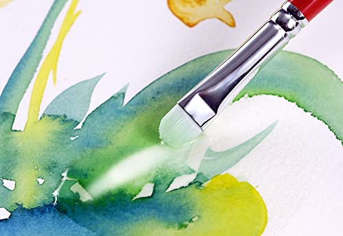 Creative Mark Scrubber Watercolor Brushes - Professional Watercolor Brushes for Scrubbing, Blotting, Re-Shaping Edges, and More! - # 12-2 Pack - size: #12 - 2 Pack