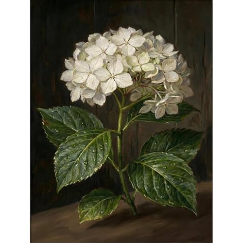 Hydrangea Diamond Art Kits for Adults Round Diamond Painting 12x16 Inch - color: DD142