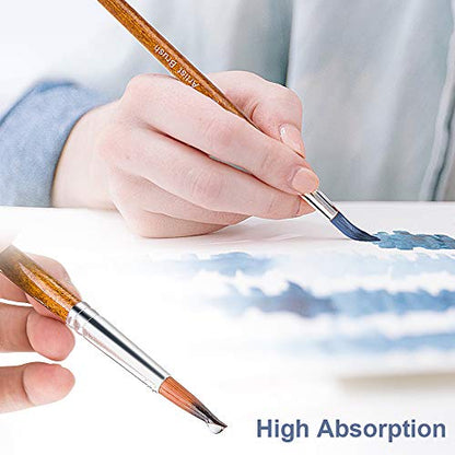 Watercolor Paint Brushes FENORKEY 12Pcs Round for Watercolor, Acrylic & Gouache