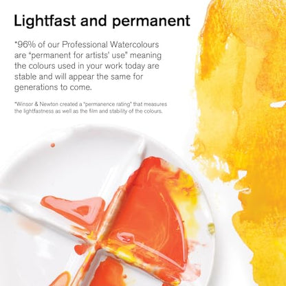 Winsor & Newton Professional Watercolor, 5ml Tube, Brown Madder - color: Brown Madder, style: 0.17-oz Tube