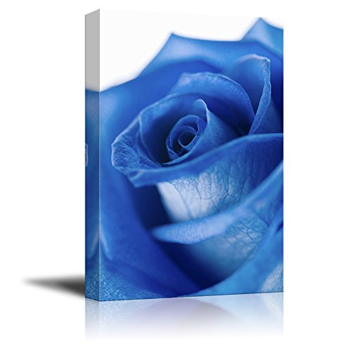 wall26 Canvas Wall Art - Closeup of a Blue Rose - Giclee Print Gallery Wrap Modern Home Art Ready to Hang - 12x18 inches - color: Artwork - 06, size: 18"L x 12"W
