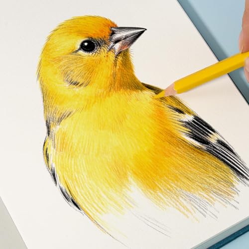 Arrtx Sketchbook, A5 (5.8 x 8.3 Inch) 100% Bamboo Drawing Paper, 180gsm, 60 Sheets, Hard Cover, Lay-Flat Binding,Acid-Free, for Pencil, Pen, Charcoal & Dry Media