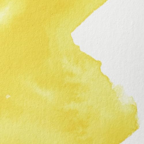 Winsor & Newton Professional Watercolor, 5ml Tube, Cadmium-Free Lemon | Unrivalled Transparency, Single Pigment Vibrant Colors, Archival Permanence, Heritage Watercolors, Finest Pigments - color: Cadmium-free Lemon, style: 0.17-oz Tube