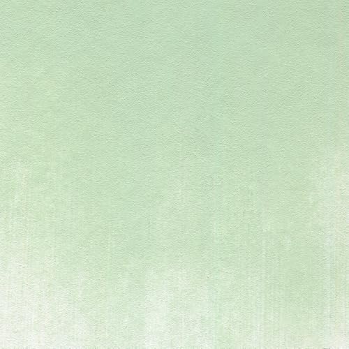 PanPastel Artist Pastels by GOLDEN, Chromium Oxide Green Tint, 62 mm Pan - color: Chromium Oxide Green Tint, size: 1 Count (Pack of 1)