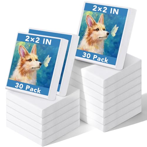 Prudiut Mini Stretched Canvas 30 Pack, 2 x 2 Inch, White | Primed cotton canvas, compact size, for acrylic oil tempera gouache, painting crafts classroom use