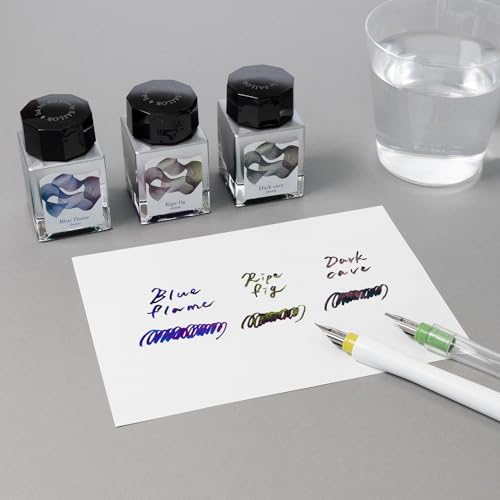 Sailor Fountain Pen Dip Pen Bottle Ink Dipton Leipe Fig/Scene Water Based Dye 20ml 13-1800-202 - color: Lipe Fig/Scene