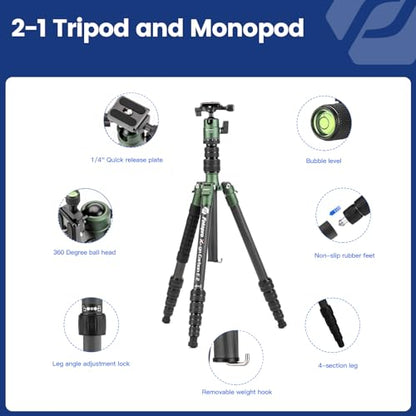 Fotopro 60" Carbon Fiber Camera Travel Tripod, 2lbs Super Lightweight Compact Tripod with 360° Metal Ball Head, Detachable Monopod, with Arca QR Plate & Bag, Load up to 8KG/17.63lbs, for SLR DSLR - color: Green, size: 62" Basic (Carbon Fiber)