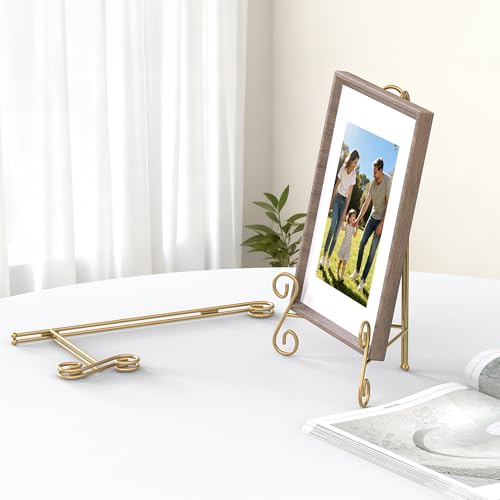Gold Plate Stand, 10 Inch Decorative Holder for Displaying Platters, Heavy-Duty Metal Easel Stand for Picture, Photo Frame, Books and Round Objects, 1-Pack