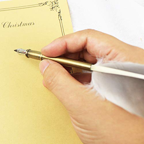 GIFTS Calligraphy Pen Set,12-Piece Kit, 5 Nib & 5 Ink Set,Writing Quill Pen,Anitque Dip Feather Pen Set (wood+feather)