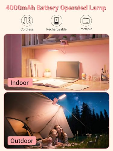 Pink Desk Lamp for Dorm Lamp, 9 Brightness+5 Color Clip on Light, Cute Lamp - color: Pink