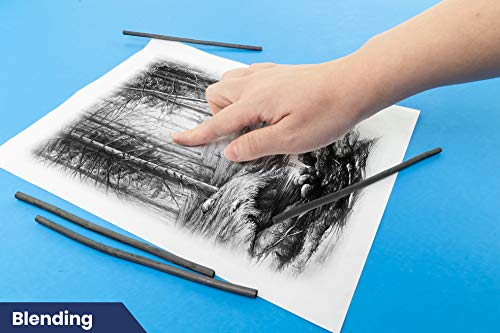 Pacific Arc Artist Vine Charcoal, Hard, Black 12 Pieces, Artist Vine Charcoal Sticks, Hard and Smooth Drawing Charcoal - style: Hard | 12 Sticks