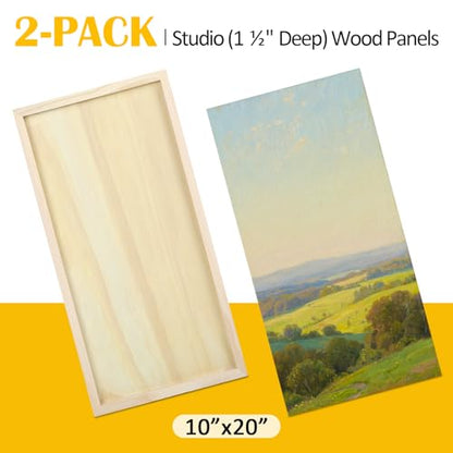 Falling in Art 2 Pack 10x20'' Unfinished Gallery Birch Wood Canvas Panels - size: 10*20 2 Pack