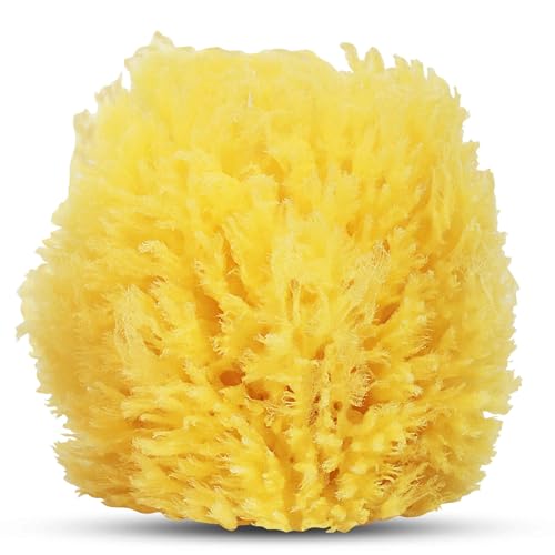 HartFelt Exfoliating Grass Sea Sponge 4in | Natural Exfoliating Body Scrubber Sponge for Shower for Women and Men - size: 1 Count (Pack of 1), style: Grass Sea Sponge