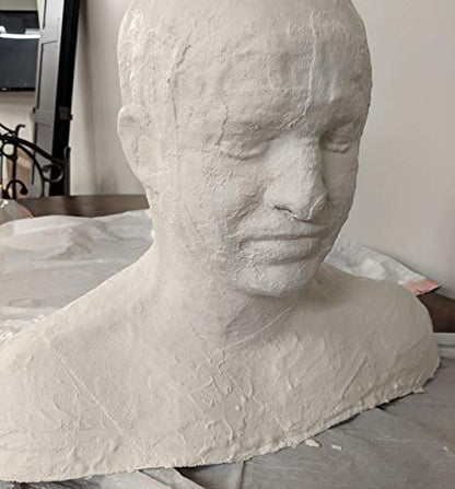 Fermus 8 Pack White Plaster Cloth Gauze Bandages Rolls for Art Project | Total 120ft Plaster Strip Wrap for Belly Cast, Mask Making, Sculptures, Body Casts, Craft Projects, Scenery Construction - size: 8 Pack (120ft)