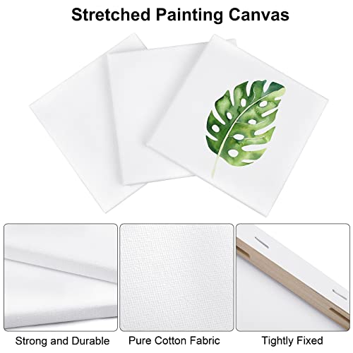 Aodaer 12 Pieces Stretched Canvas for Painting 8 Inch Blank Canvas Panels Triangle Square Hexagon Round Shape Canvases Boards Art Supplies for Acrylic Pouring Oil Painting - size: 8 Inch