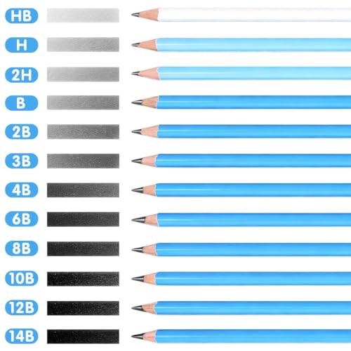 12 Graphite Pencils Professional Sketching Drawing Set,No Duplicates | 14B(soft) to H(hard),Charcoal Pencils,Art Supplies for Sketching Shading Blending, Gifts for Artists Adults Beginners - color: Black