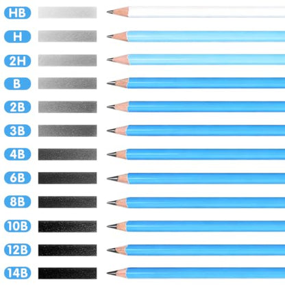 12 Graphite Pencils Professional Sketching Drawing Set,No Duplicates | 14B(soft) to H(hard),Charcoal Pencils,Art Supplies for Sketching Shading Blending, Gifts for Artists Adults Beginners - color: Black