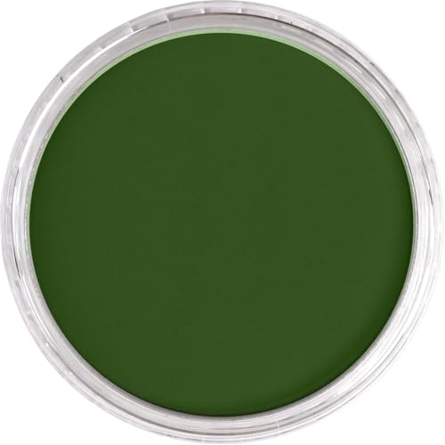 PanPastel Artist Pastels by GOLDEN, Chromium Oxide Green, 2.44” / 62mm Pan Diameter, Professional Artist Pastels, Unique Pan Format (cake-like) - color: Chromium Oxide Green, size: 9 ml (Pack of 1)