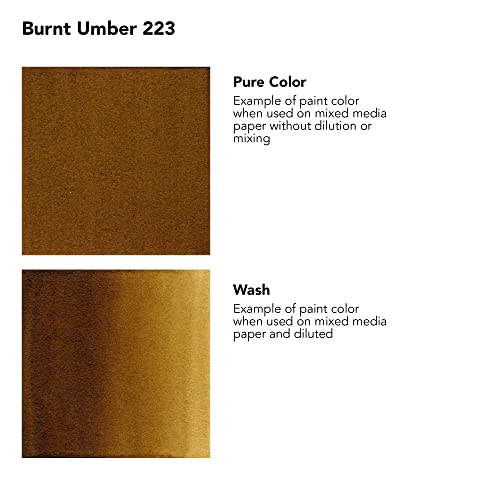 Daler-Rowney FW Acrylic Artists Ink, 1 oz, Burnt Umber (160029223) - color: Burnt Umber