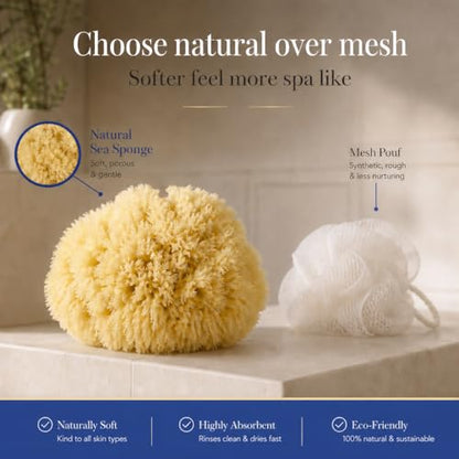 Natural Sea Sponge 5pk Spa Gift Set Bath Shower & Facial Care, Premium Bag | 5 assorted sizes for bath, shower & face. Hypoallergenic, kind on skin. Gift for moms, brides & teens. Comes in premium bag. - style: 5 Piece set in bag