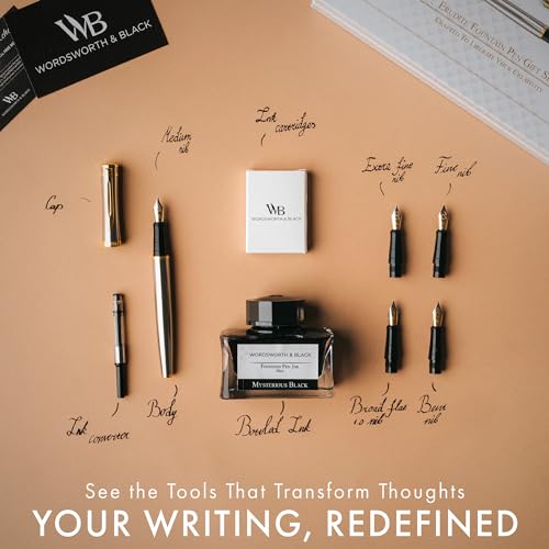 Wordsworth & Black Luxury Fountain Pen Set for Writing, 6 Nibs, Silver Gold - color: Silver Gold