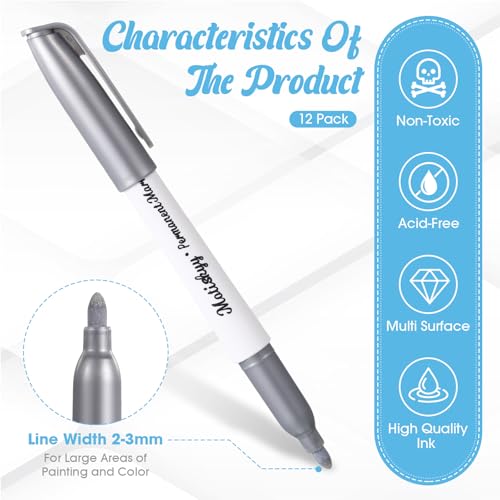 Motiskyy 12 Pcs Metallic Permanent Markers Bulk Gold Silver Pens Fine Point Metallic Paint Markers for DIY Crafts, Gift Card Making, Artist Illustration(Silver) - color: Silver