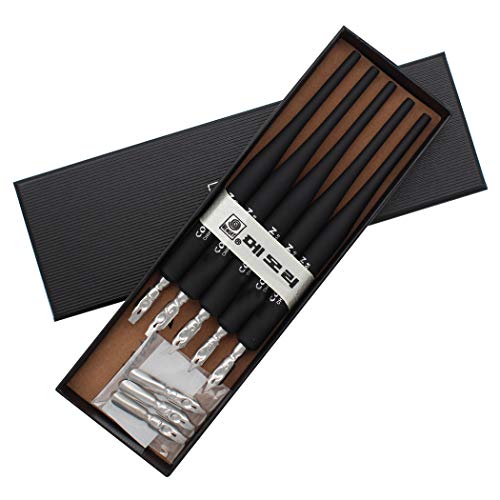 Plastic Professional Manga Gothic Pen Dip Pen Set with 5 Nibs Manga Calligraphy Drawing Pen Kit - 5 Pcs, Black - color: Black