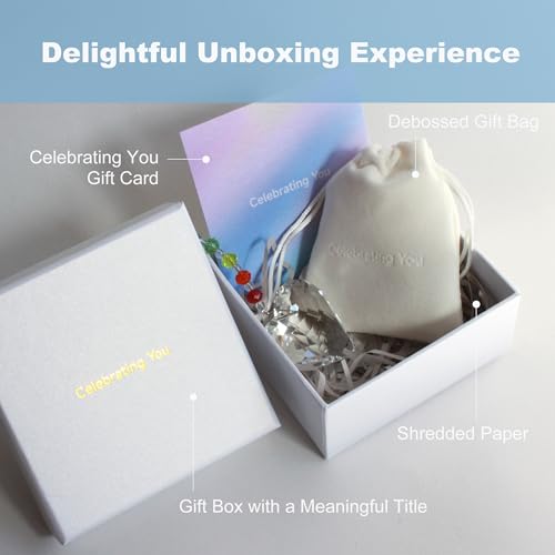 Celebrating You Rainbow Maker, Birthday Gifts for Women, Friendship Gifts | Matching Gift Card, Gift Box & Bag | Crystal Heart Suncatcher | Brighten Every Day with Rainbows - color: Rainbow