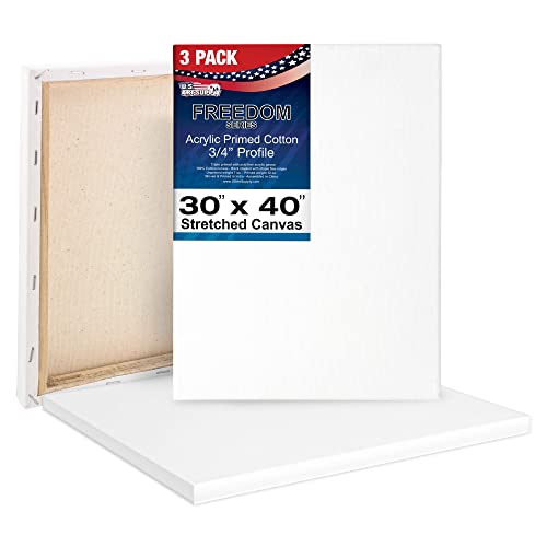 U.S. Art Supply 30 x 40 inch Stretched Canvas 12-Ounce Triple Primed, 3-Pack - Professional Artist Quality White Blank 3/4" Profile, 100% Cotton, Heavy-Weight Gesso - Acrylic Pouring, Oil Painting - size: 30" x 40"