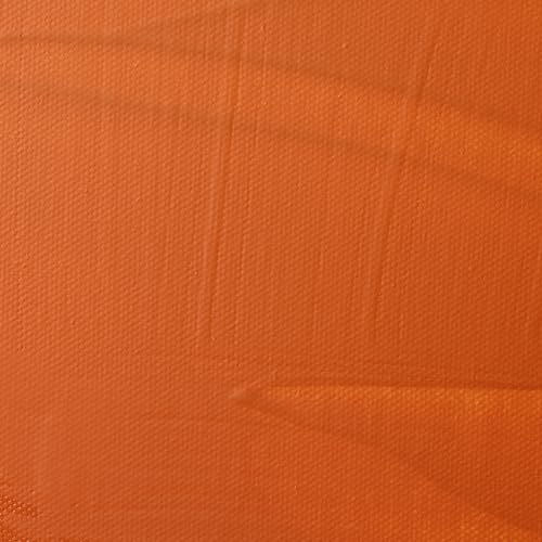 Liquitex Professional Matte Varnish, 237ml (8-oz) | 100% Acrylic Polymer Varnish Matte Sheen, Protects & Resists Dirt Retention, Increases Brightness, Resists Discoloration - color: Matte, style: 8-oz