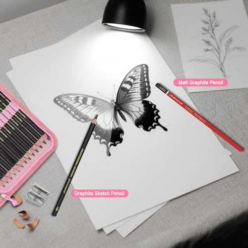 Heshengping, Sketching and Drawing Pencils Set 26pcs, Art Supplies Drawing pencil Kit,Graphite Charcoal Professional Pencils Set, Adults Beginners Artist - style: 26 Pack Sketching Pencils Pink