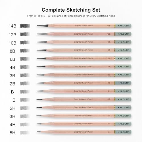 KALOUR 18-Piece Professional Sketch Pencil Set - Includes 5H to 14B Pencils, Vinyl Eraser, Kneaded Eraser,Sharpener and Paper Blending Stump - Ideal for Artists and Beginners