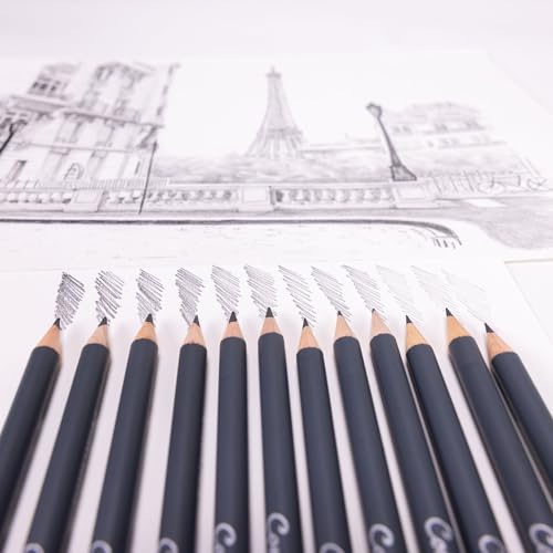 Conté à Paris 12 Count Assorted Graphite Pencil Drawing Set | Multiple Drawing Grades, Smooth Laydown And Easy Blending, Ideal For Shading Detail And Technical Sketching - style: 12 Count Assorted Graphite Pencil Drawing Set