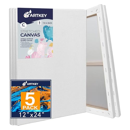 Large Canvases for Painting 12x24 Inch 5-Pack, 12.3 oz Triple Primed Acid-Free 100% Cotton Stretched Canvas, Blank Large Canvas for Oil Paint Acrylics Pouring & Wet Art Media - size: 12"x24"(5-Pack), style: Studio