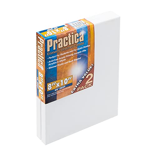 Practica Economy Stretched Cotton Canvas - Acid-Free Acrylic Primed Canvas for Acrylics, Pastels, Graphite, & More! - [2-Pack - 8x10] - size: 8x10"