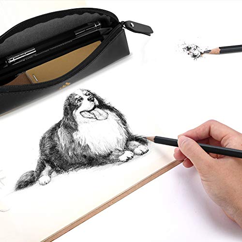 Heshengping, Sketching and Drawing Pencils Set-26pcs,Art Supplies Drawing Kit,Graphite Charcoal Professional Pencils Set, Adults Beginners Artist - style: Black | 26 Pack