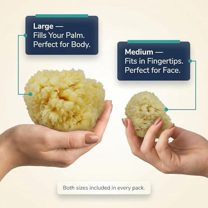 Natural Sea Wool Sponges 2pk, 6"-7" Body Sponge + 3"-4" Facial, Bath & Face | Softest sea sponge variety. Sustainably harvested & hypoallergenic. Perfect body + face set, gift-ready in a drawstring bag.