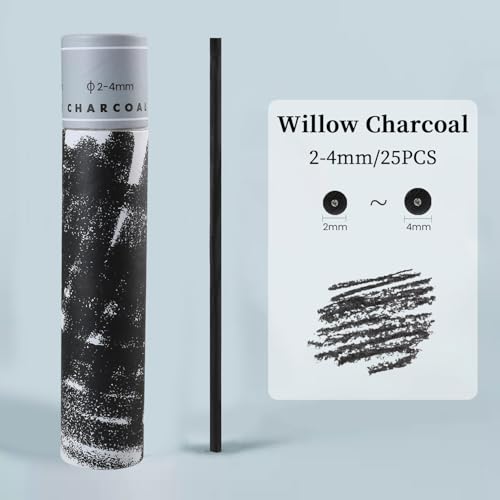 25PCS/Tube Willow Charcoal Sticks - Natural Willow Charcoal for Artists, Beginners, or Students of All Skill Levels - Perfect for Drawing and Sketching, Approx. 2-4mm Dia - style: 2-4mm