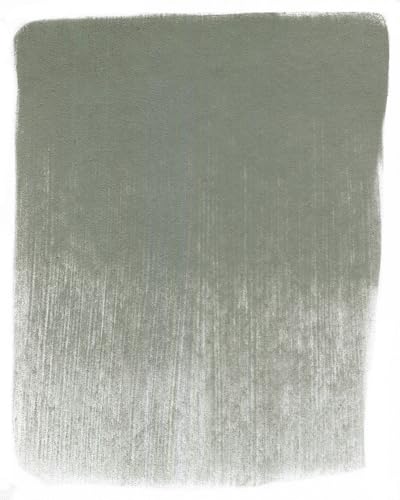 PanPastel Artist Pastels by GOLDEN, Neutral Gray, 2.44” / 62mm Pan Diameter, Professional Artist Pastels, Unique Pan Format (cake-like) - color: Neutral Grey, size: 1 Count (Pack of 1)