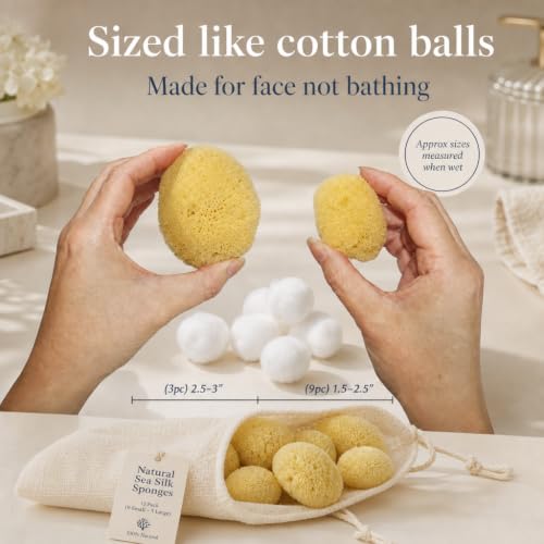 Natural Sea Silk Sponges 12pk, Cosmetic Grade Makeup & Blending Facial Care
