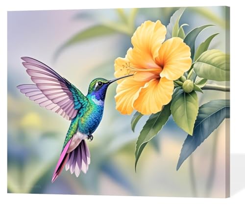 ACANDYL DIY Paint by Numbers Kit for Adults Paint by Numbers Beginner Hummingbird Canvas Painting by Number DIY Acrylic Oil Painting on Canvas Arts Craft Decoration 16x20 Inch - color: Hummingbird C