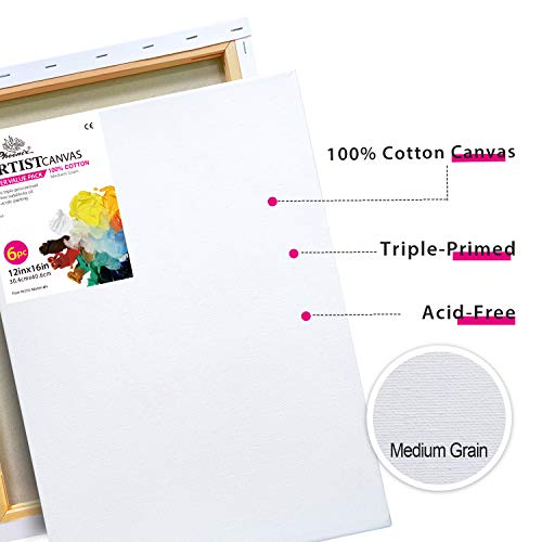 PHOENIX Stretched Canvas for Painting 12x16 Inch/6 Value Pack, 8 Oz Triple Primed 5/8 Inch Profile 100% Cotton White Blank Canvas, Artist Framed Canvas for Oil Acrylic & Pouring Art - size: 12"x16", style: Studio Set (8 Oz.)