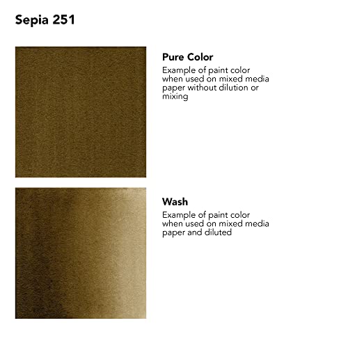 Daler-Rowney FW Acrylic Artists Ink, 1 oz, Sepia (160029251) - color: Sepia