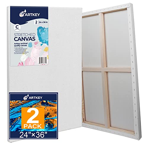 Stretched Canvases for Painting 24x36 Inch 2-Pack, 12.3 oz Triple Primed Acid-Free 100% Cotton Blank Canvas, Large Canvases for Oil Paint Acrylics Pouring & Wet Art Media, Pour Painting - size: 24"x36"(2-Pack), style: Studio
