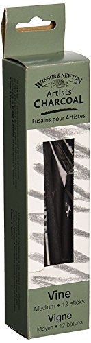 Winsor & Newton Artist Vine Charcoal Sticks, Medium, Box of 12 Sticks | Carefully Selected for Uniformity Without Imperfections, For Artists' Use, Baked for Consistent Intensity - style: Box of 12