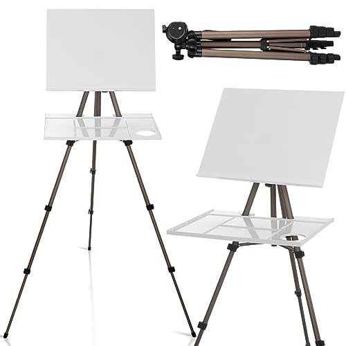 Ireer 17-65 Inch Artist Watercolor Portable Easel with Sturdy Tripod Adjustable Aluminum Metal Easel Stand with Tray Lightweight Travel Easel for Painting Canvas Kids Adults Tabletop Floor Display